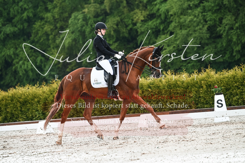 DSC_4288 | Pferde- und Turnierfotografie in Westsachsen. Pferdeportraits, Auftragszeichnungen und intuitive Kunst.