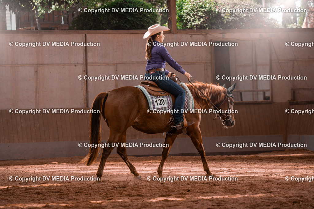 NE100485 | dv-media-shop - Realisiert mit Pictrs.com