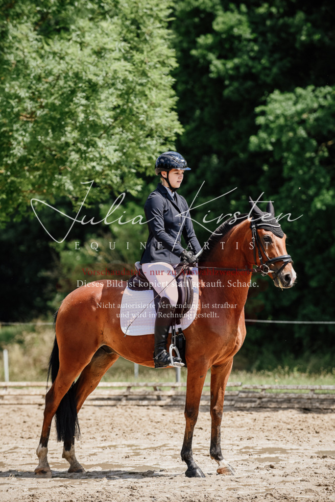 DSC_1727 | Pferde- und Turnierfotografie in Westsachsen. Pferdeportraits, Auftragszeichnungen und intuitive Kunst.