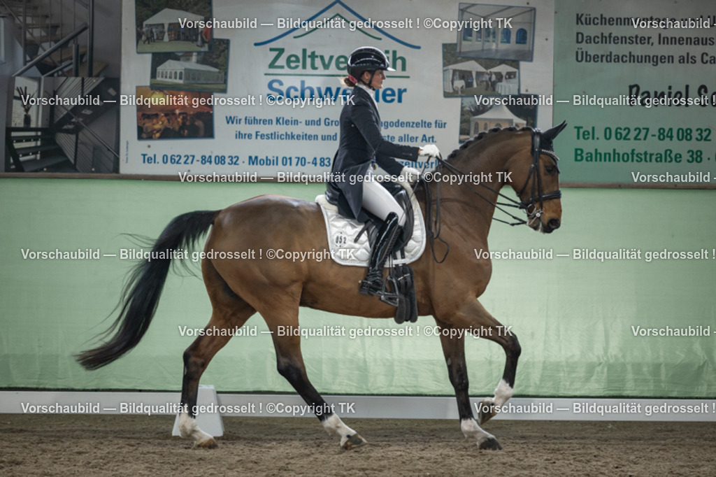 _D5A6177 | Emotionale Pferde- & People-Fotografie rund um Heidelberg, Leimen & Umgebung. Natürliche Fotos von Pferd, Mensch & Familie. Jetzt Termin sichern!