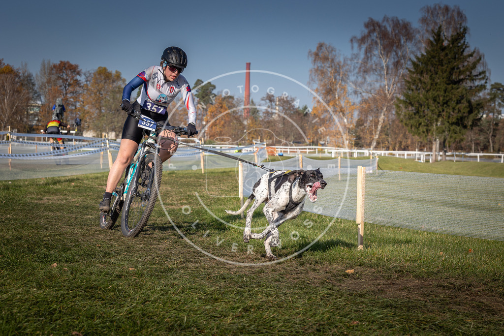 CaniXpix_0L8A7383 | Hundefotografie, Tierfotograf, Pfotenfotografie, Fotoshooting Hund, Hunde Portrait, Hundesport, Hundeportraits, Heideshooting, Hunde, Sportfotograf, Hundefotograf, Turnierhundsport, THS,  - Realisiert mit Pictrs.com
