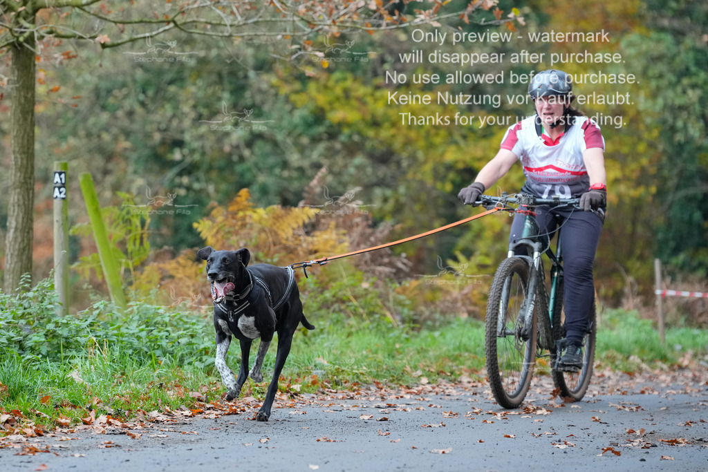 Bike_So-130 | stephaniefillaphotographie - Realisiert mit Pictrs.com