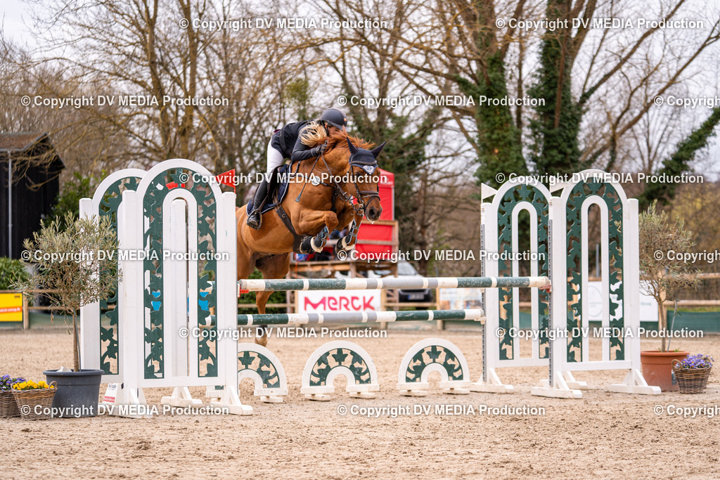 Kranichstein Tag 2-244 | dv-media-shop - Realisiert mit Pictrs.com