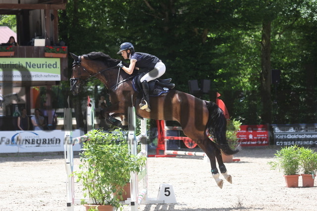 Ichenheim_2024_Prfg.Nr.10_AmateurSpringprfg_Kl.M_Isabell Dörr_Abbeygail T (2) | Alle Fotos der Reiterjournal Fotografin Doris Matthaes im Reiterjournal Online-Fotoshop. - Realized with Pictrs.com