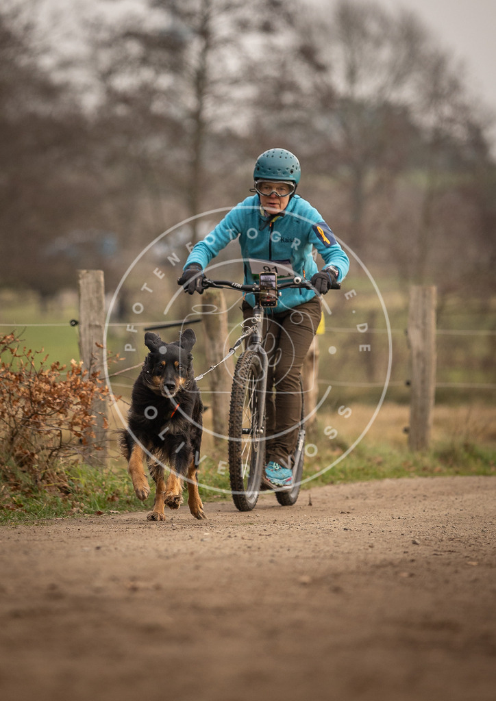 Pfotenfotografie_DV3A4241 | Hundefotografie, Tierfotograf, Pfotenfotografie, Fotoshooting Hund, Hunde Portrait, Hundesport, Hundeportraits, Heideshooting, Hunde, Sportfotograf, Hundefotograf, Turnierhundsport, THS,  - Realisiert mit Pictrs.com