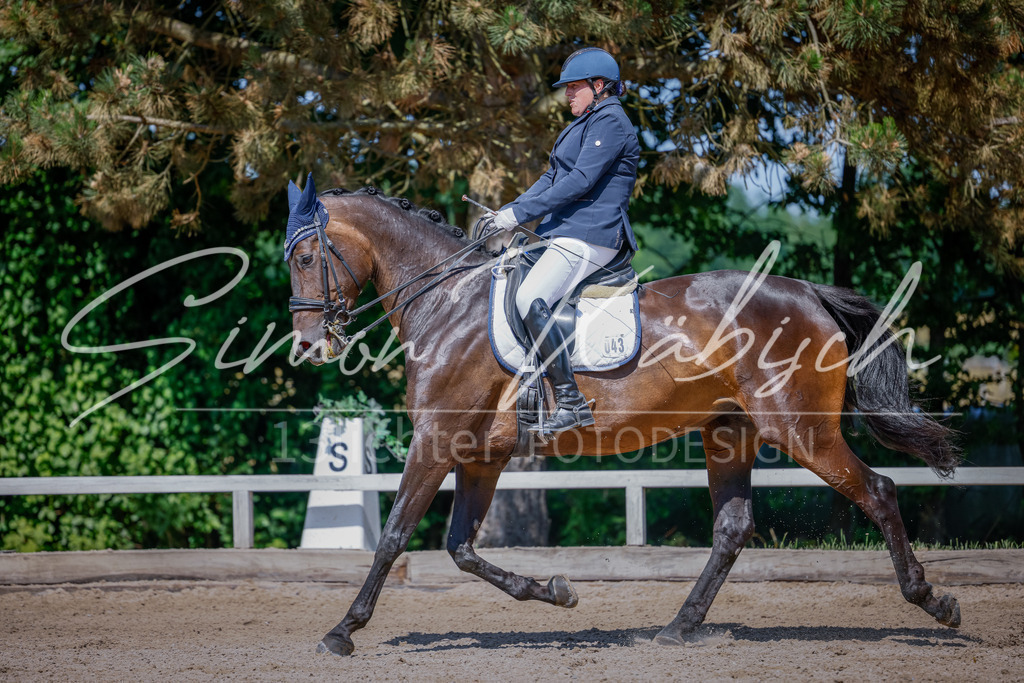 20250621-_3LI9485 | Tierfotografie Pferde, Hunde, Katzen, Haustiere.
Turnierfotografie Reitturniere, Reiten, Springreiten, Dressur in Hanau, dem Main-Kinzig-Kreis und dem Rhein-Main- Gebiet um Frankfurt