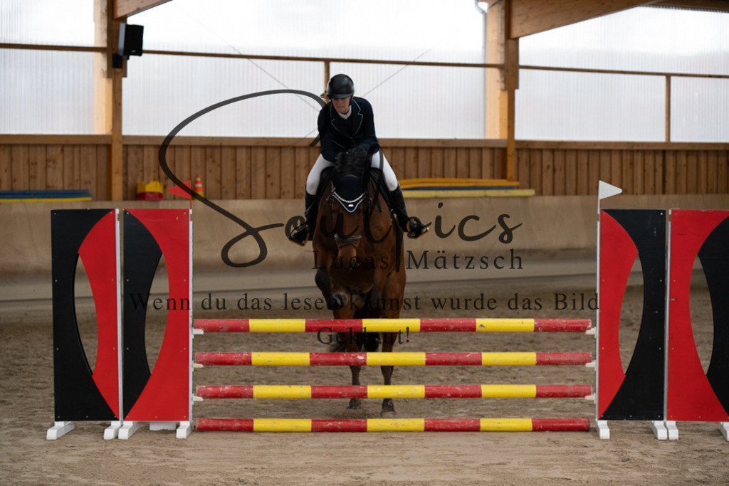 A7V00407 | Pferdefotograf