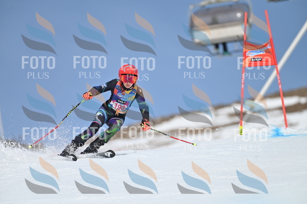 BGV_0856 | holidayphoto