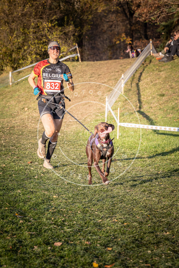CaniXpix_0L8A0672 | Hundefotografie, Tierfotograf, Pfotenfotografie, Fotoshooting Hund, Hunde Portrait, Hundesport, Hundeportraits, Heideshooting, Hunde, Sportfotograf, Hundefotograf, Turnierhundsport, THS,  - Realisiert mit Pictrs.com