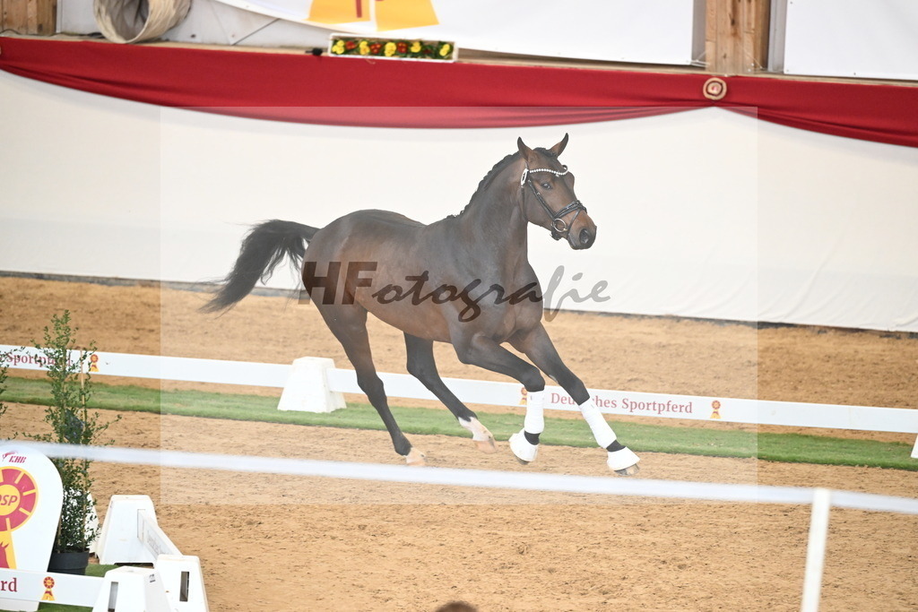 Kat.-Nr. 68 v. Fynch Hatton_Kampe_2250499 | hf-fotografie - Realisiert mit Pictrs.com