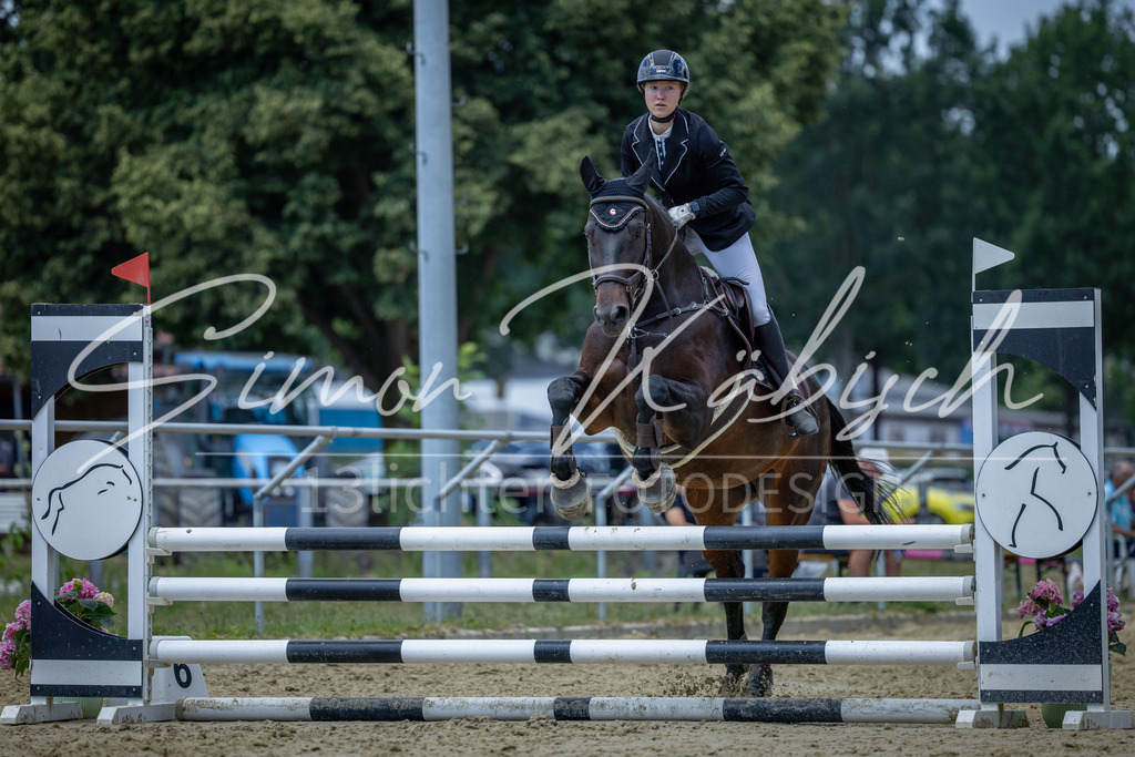 20260704-_3LI8811 | Tierfotografie Pferde, Hunde, Katzen, Haustiere.
Turnierfotografie Reitturniere, Reiten, Springreiten, Dressur in Hanau, dem Main-Kinzig-Kreis und dem Rhein-Main- Gebiet um Frankfurt