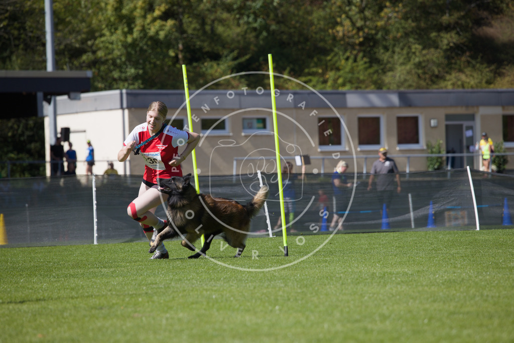0L8A6061 | Hundefotografie, Tierfotograf, Pfotenfotografie, Fotoshooting Hund, Hunde Portrait, Hundesport, Hundeportraits, Heideshooting, Hunde, Sportfotograf, Hundefotograf, Turnierhundsport, THS,  - Realisiert mit Pictrs.com