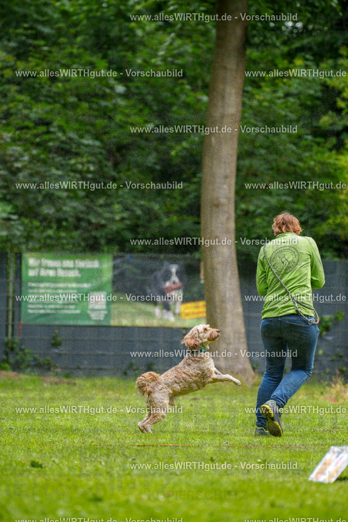 @allesWIRTHgut_Tierfotografie - www.allesWIRTHgut.de - 092441-7R507080 | Professionelle Tierfotografie in Mönchengladbach von Daniel Wirth (allesWIRTHgut). Liebevolle & natürliche Bilder von Hunden & Katzen für unvergessliche Erinnerungen.