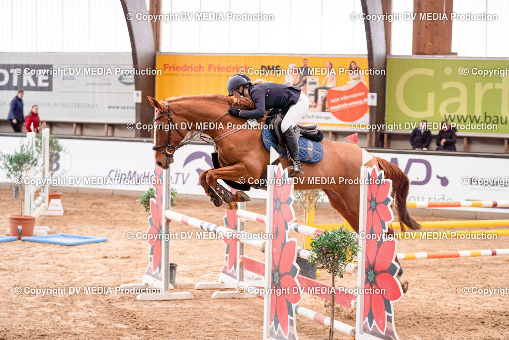 Kranichstein Tag 3-573 | dv-media-shop - Realisiert mit Pictrs.com