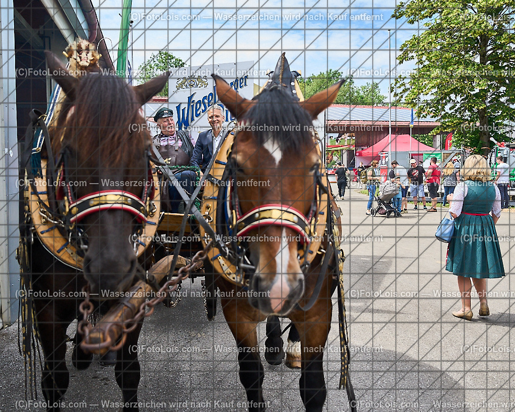 ALP9417_MESSE_LAND-FORST-JAGD_Bierwagen_Huber Christian | (C)FotoLois.com, Alois Spandl, WIESELBURGER MESSE LAND-FORST-JAGD, Eröffnung mit Messerundgang mit BM Norbert Totschnig, LH Johanna Mickl-Leitner, LH-Stv. Stephan Pernkopf, LLK Johannes Schmuckenschlager, GF Marion Heim, Hannes Heindl, Bgm. Josef Leitner, Bgm. Franz Rafetseder, ..., Do 6. Juni 2024.