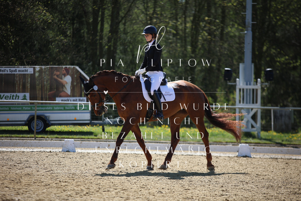 IMGT0690 | pl-fotografie