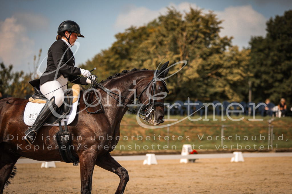 18.FrDrM00161 | Leoni Ertmer Photography - Realisiert mit Pictrs.com