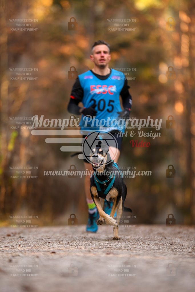 MompixPhotography_DM_AKDM_SO_2025_-4 | PayLife