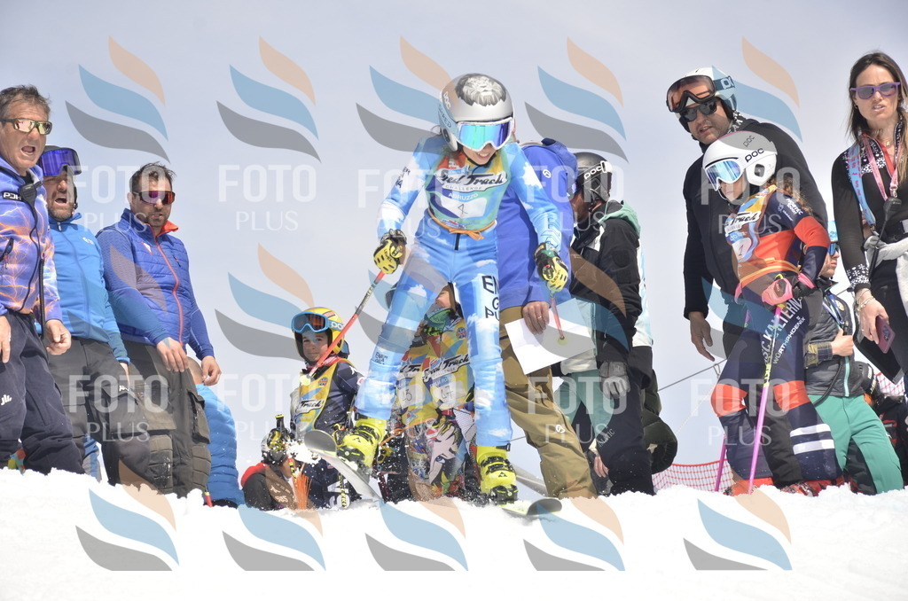 _ELE8493 | holidayphoto