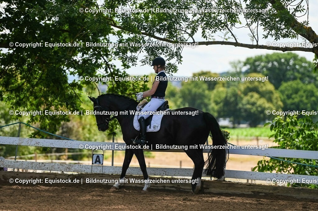 20230716_03_Dressurprfg. Kl.L - Tr._0143 | equistock