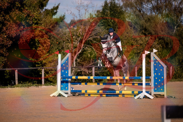 2026_10_03_Siefer-Hof_171412_Z81_11528291 | Professionelle Reitsport-, Turnier- und Eventfotografie von Robert Broda. Galerien mit ausgewählten und bearbeiteten Bildern direkt online ansehen und bestellen.