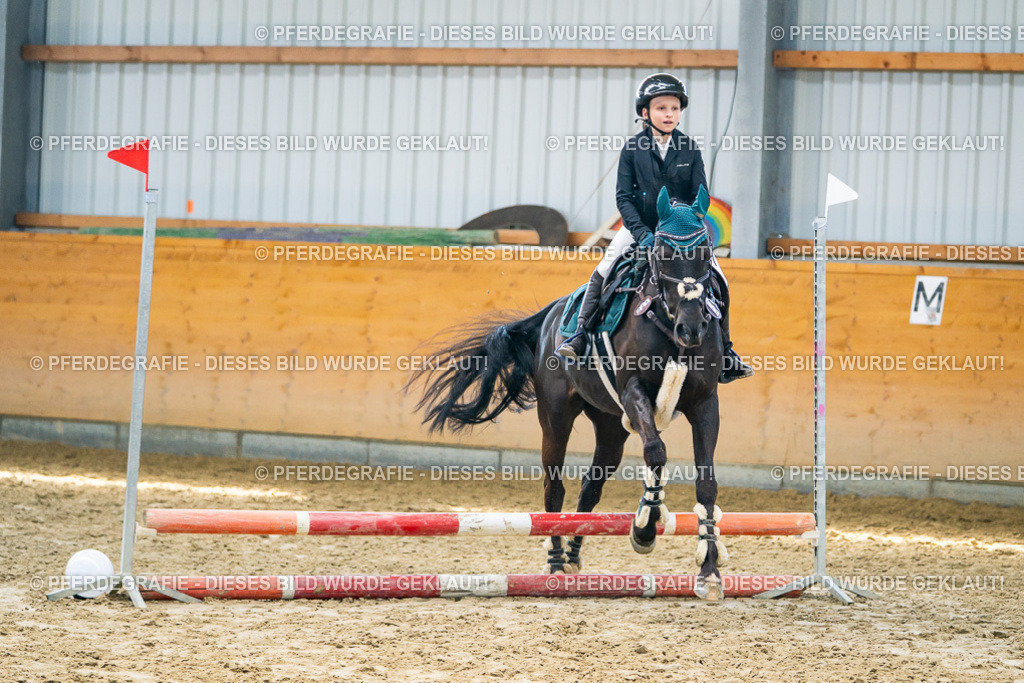 DSC01648 | Pferdegrafie