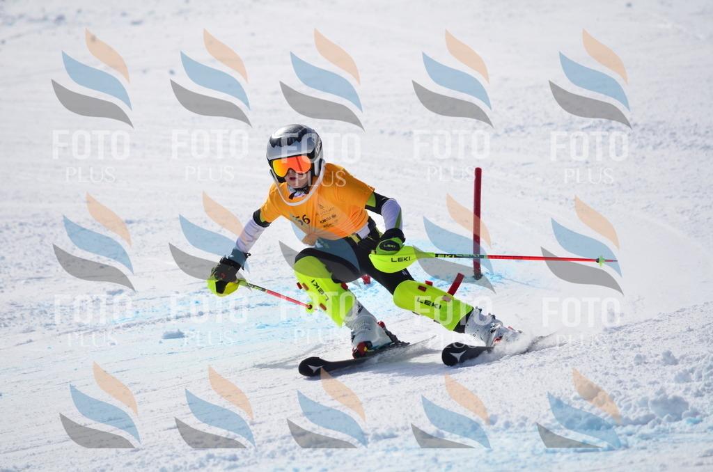 C9821 | holidayphoto