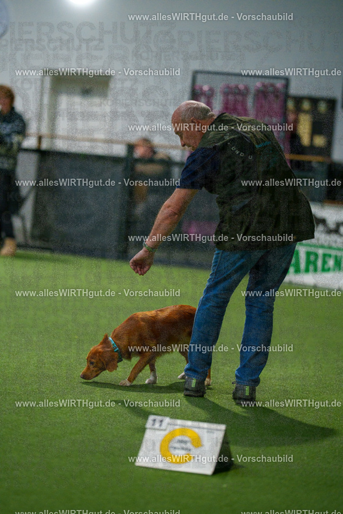 7R504547 | Professionelle Tierfotografie in Mönchengladbach von Daniel Wirth (allesWIRTHgut). Liebevolle & natürliche Bilder von Hunden & Katzen für unvergessliche Erinnerungen.