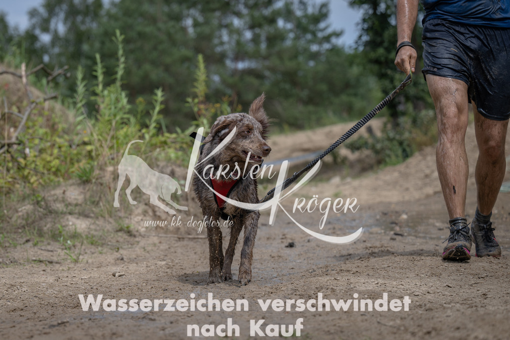 1309_ZZ95585 | kk-dogfotos