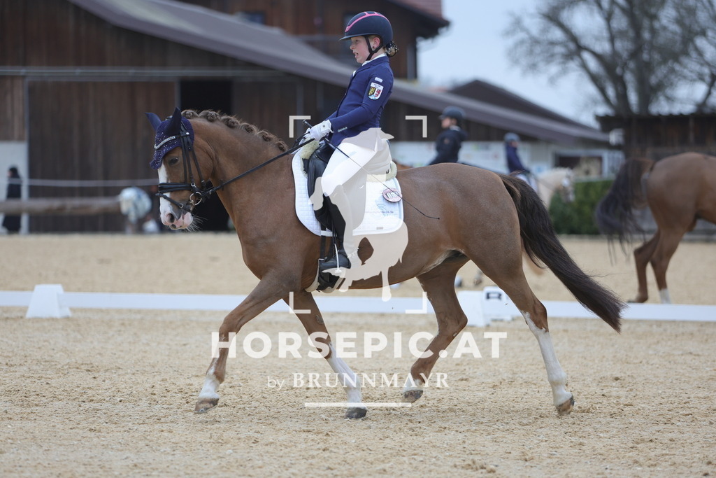 0P6A4611 | Willkommen bei Brunnmayr - Design & Fotografie – Ihrem Spezialisten für Reitturniere und Pferdeveranstaltungen in Oberösterreich, Salzburg und Bayern! Seit über 17 Jahren sind wir leidenschaftlich dabei.