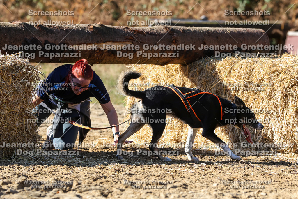 Dog Paparazzi - Strongdog 10-25-2874 | Dog Paparazzi Jeanette Grottendiek Fotografie & Videografie - Realisiert mit Pictrs.com
