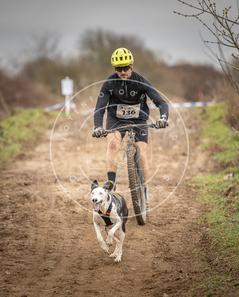 DV3A1318 | Hundefotografie, Tierfotograf, Pfotenfotografie, Fotoshooting Hund, Hunde Portrait, Hundesport, Hundeportraits, Heideshooting, Hunde, Sportfotograf, Hundefotograf, Turnierhundsport, THS,  - Realisiert mit Pictrs.com