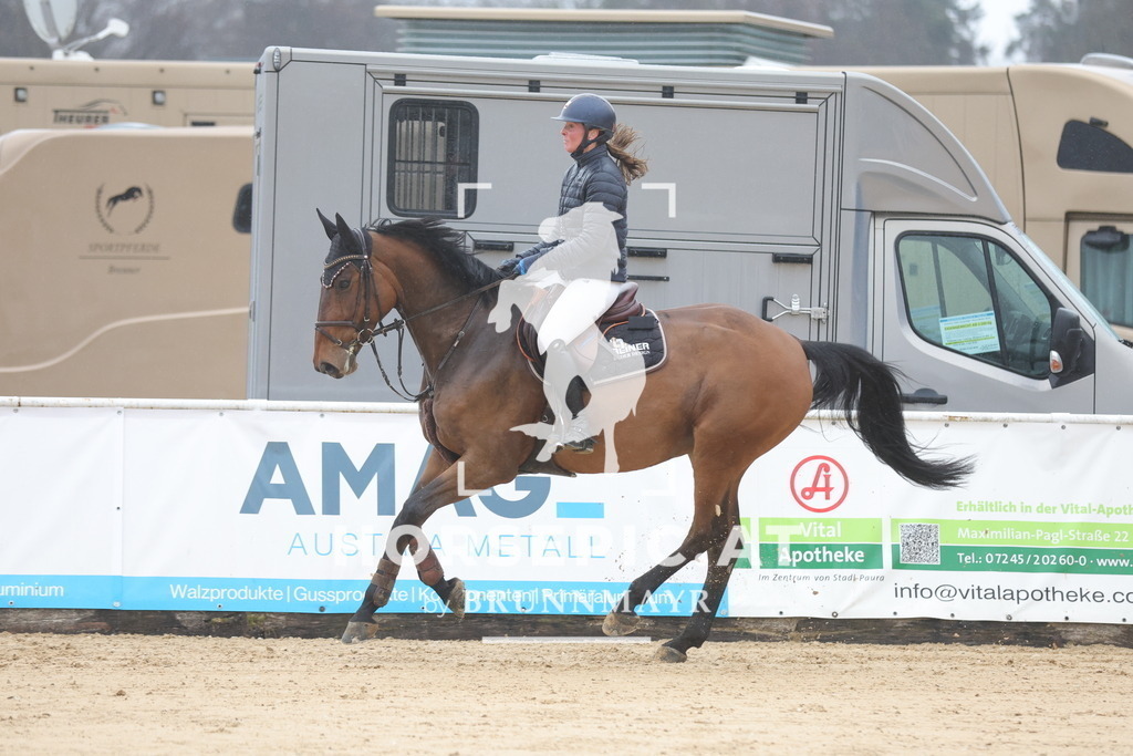 0P6A0205 | Willkommen bei Brunnmayr - Design & Fotografie – Ihrem Spezialisten für Reitturniere und Pferdeveranstaltungen in Oberösterreich, Salzburg und Bayern! Seit über 17 Jahren sind wir leidenschaftlich dabei.