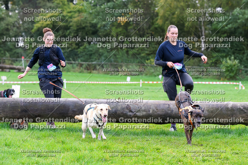 Dog Paparazzi -  SD1026-998 | Dog Paparazzi Jeanette Grottendiek Fotografie & Videografie - Realisiert mit Pictrs.com