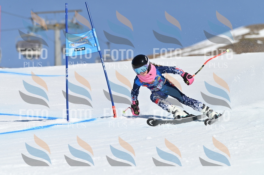 BGV_7897 | holidayphoto