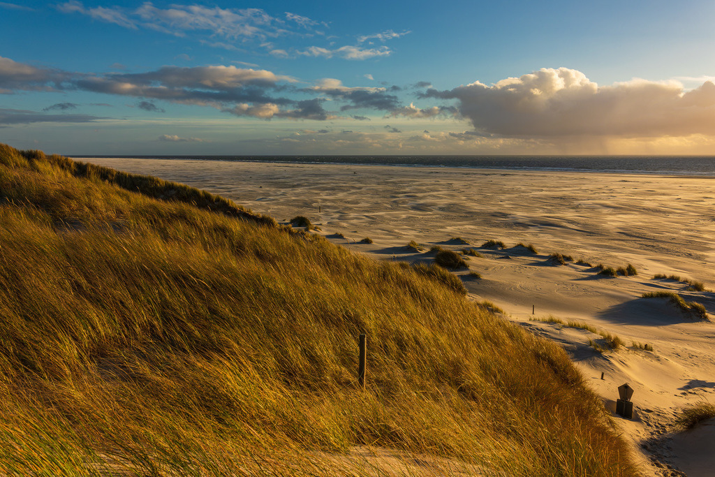 Landschaft mit Dünen auf der Nordseeinsel Amrum | Landschaft mit Dünen auf der Nordseeinsel Amrum.