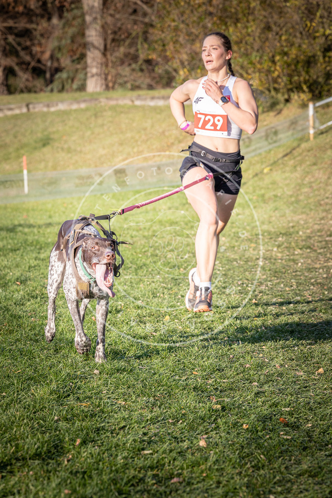 CaniXpix_0L8A9732 | Hundefotografie, Tierfotograf, Pfotenfotografie, Fotoshooting Hund, Hunde Portrait, Hundesport, Hundeportraits, Heideshooting, Hunde, Sportfotograf, Hundefotograf, Turnierhundsport, THS,  - Realisiert mit Pictrs.com