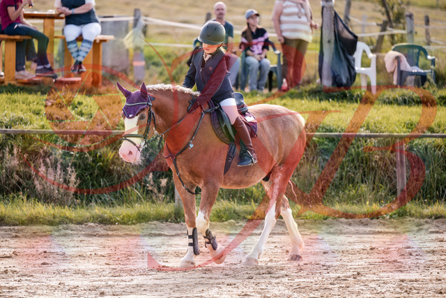 2026_10_03_Siefer-Hof_144530_Z81_21084185 | Professionelle Reitsport-, Turnier- und Eventfotografie von Robert Broda. Galerien mit ausgewählten und bearbeiteten Bildern direkt online ansehen und bestellen.