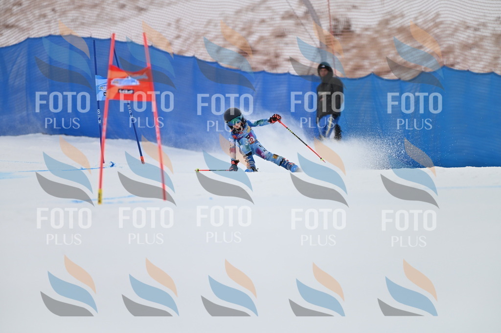 BGV_0649 | holidayphoto