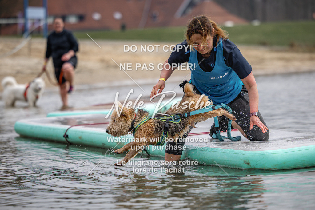nelerasche_Hulsbeek_Sa1130-1230_583 | nelerasche