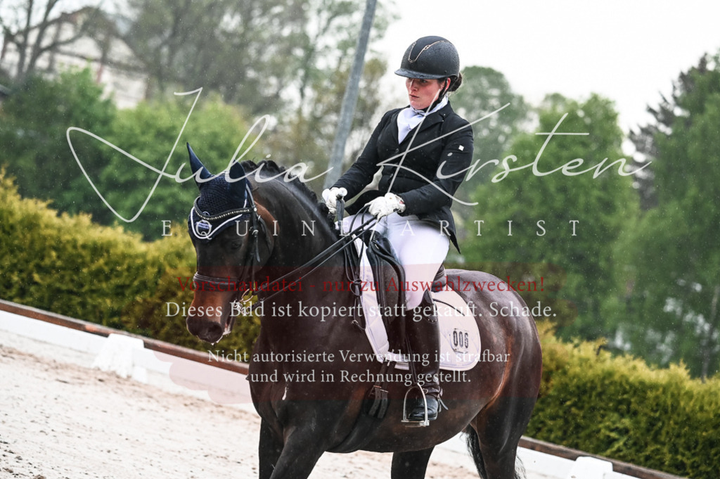 DSC_4702 | Pferde- und Turnierfotografie in Westsachsen. Pferdeportraits, Auftragszeichnungen und intuitive Kunst.