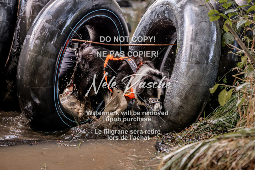 nelerasche_Hunsrück2026_Sa1400-1500_186 | nelerasche