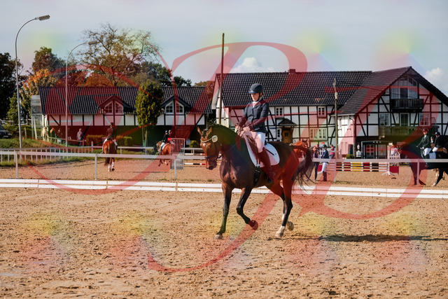 2026_10_03_Siefer-Hof_125538_Z63_62358435 | Professionelle Reitsport-, Turnier- und Eventfotografie von Robert Broda. Galerien mit ausgewählten und bearbeiteten Bildern direkt online ansehen und bestellen.