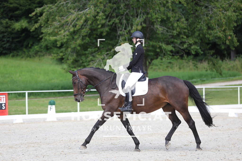 0P6A5024 | Willkommen bei Brunnmayr - Design & Fotografie – Ihrem Spezialisten für Reitturniere und Pferdeveranstaltungen in Oberösterreich, Salzburg und Bayern! Seit über 17 Jahren sind wir leidenschaftlich dabei.