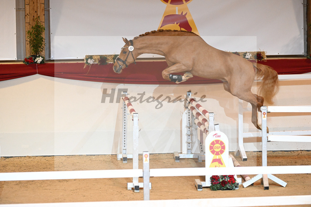 Kat-Nr. 37 Zinedream_Holtwiesche u Schulze-Averdiek_1231095 | hf-fotografie - Realizzato con Pictrs.com
