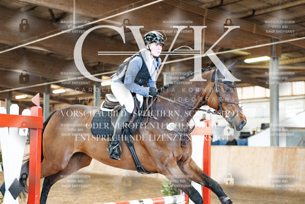 CK903713 | Turnierfotografie Pferdefotografie Trier Rheinland-Pfalz Pferdesport Reitsport Tierfotografie Sportfotografie Pferdevideo Pferdevideografie Equestrianvideography equestrianphotography  - Realized with Pictrs.com
