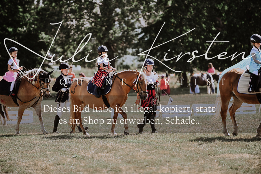 DSC_9021 | Pferde- und Turnierfotografie in Westsachsen. Pferdeportraits, Auftragszeichnungen und intuitive Kunst.