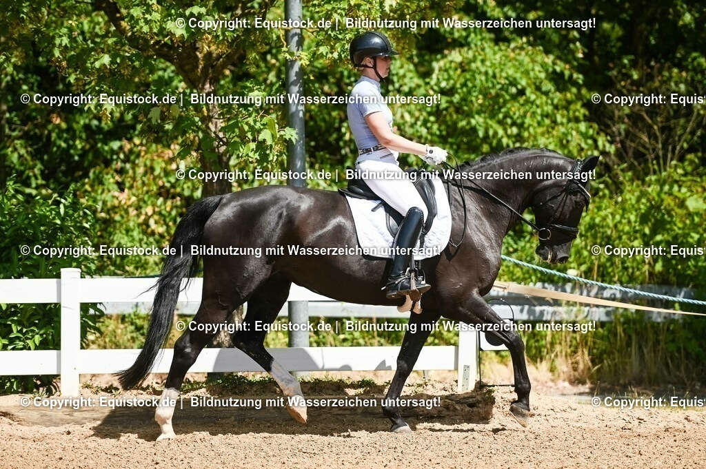 20230715_02_Dressurreiterprüfung Kl.L_0040 | equistock