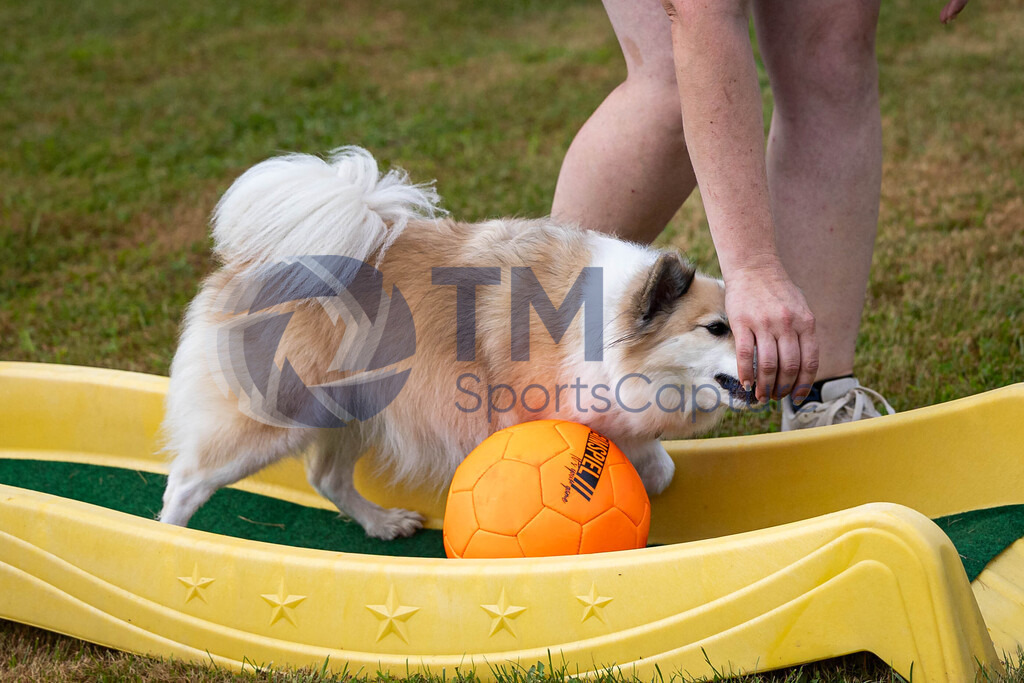 TP-20240815-0013 | Copyright: Trainproduction / Matthias Trinkl