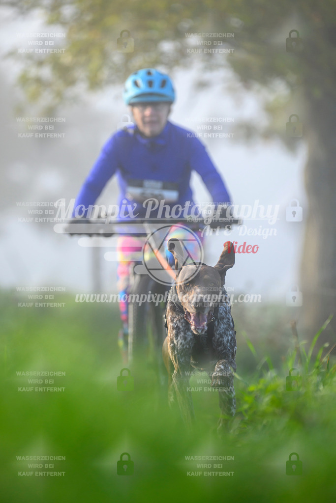 MompixPhotography_20TSB_E3_Bike-110 | PayLife